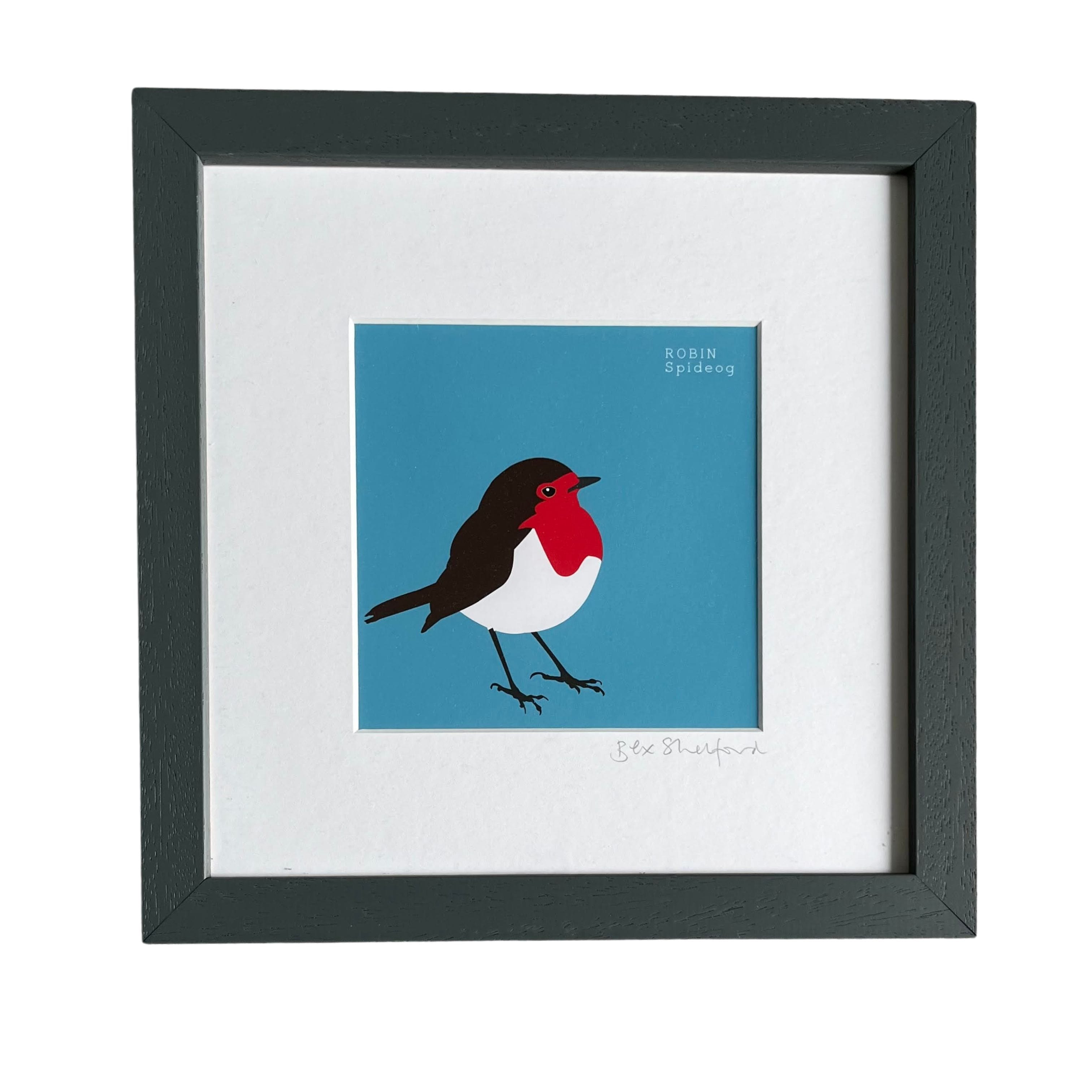 Bex Shelford Robin - Spideog | Framed Print
