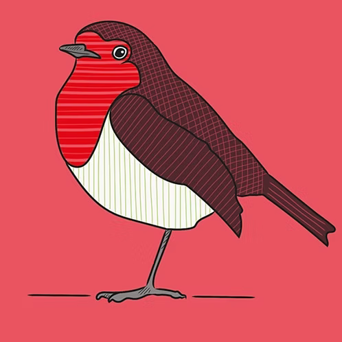 Bex Shelford Striped Robin | Framed Print