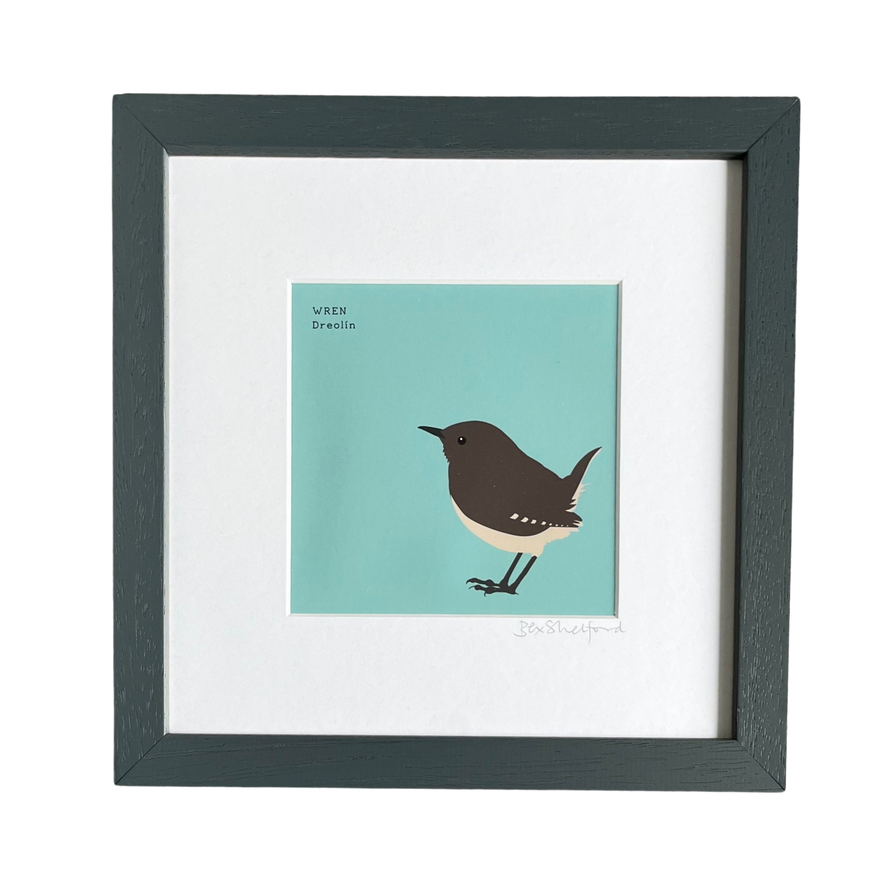 Bex Shelford Wren - Dreolín | Framed Print