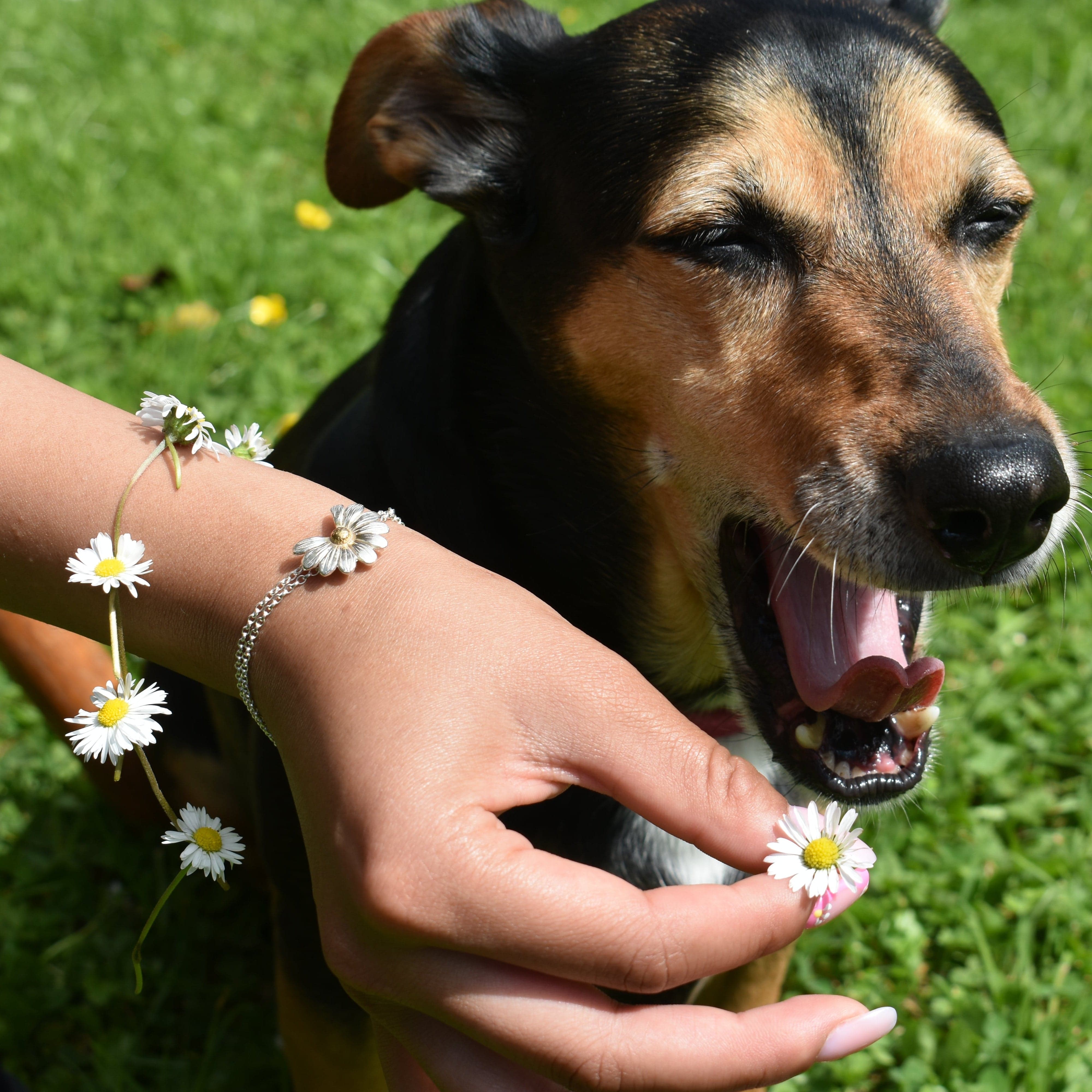 Martina Hamilton Bracelets/Bangles Daisy | Sterling Silver and 22ct Gold Plated Bracelet