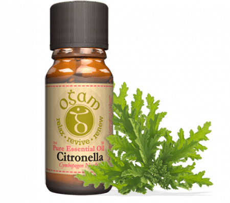 Ogam Oils Essential Oils Citronella | Essential oils