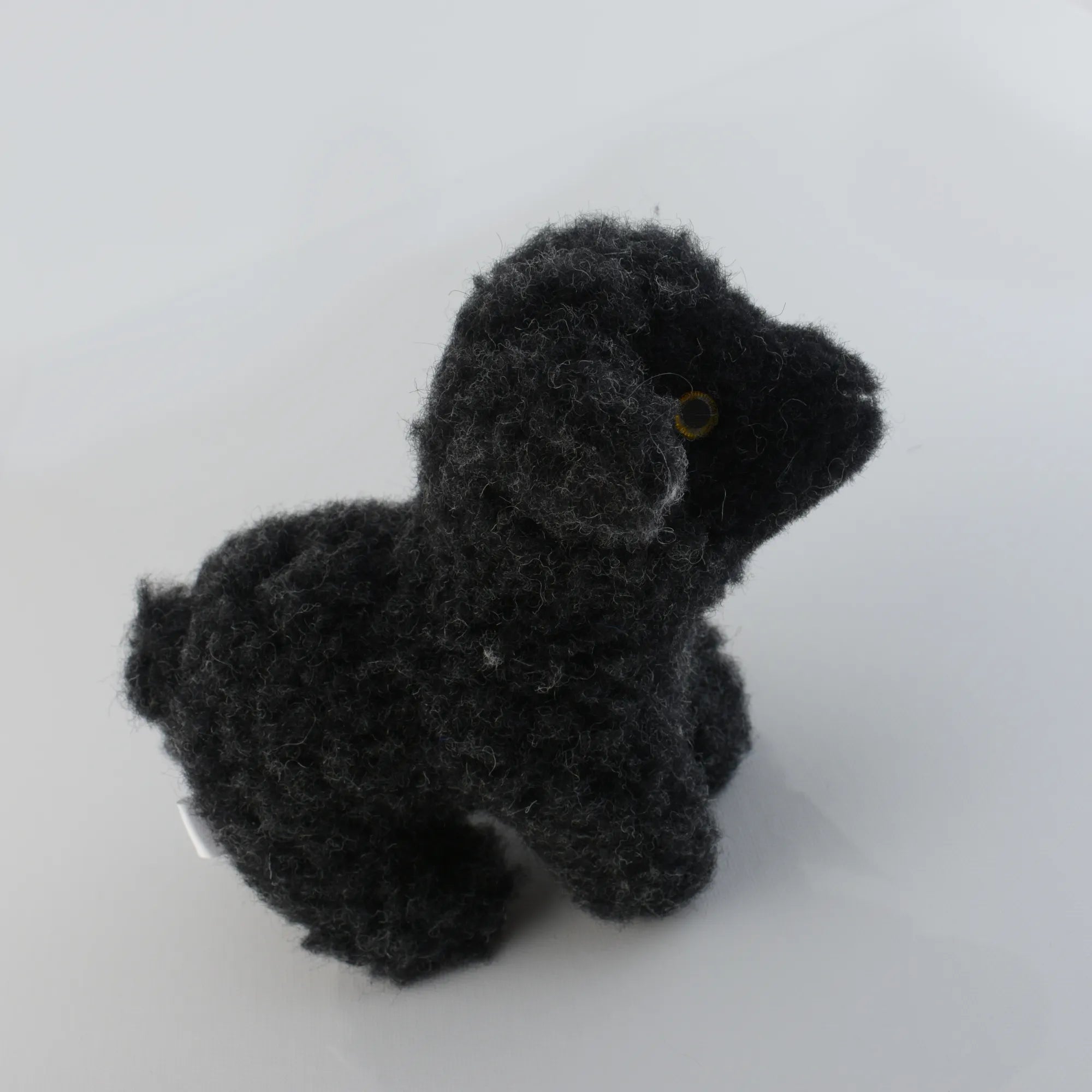 Black Wool | Sheep