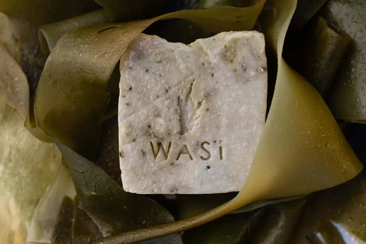 WASI Cedarwood & Lemongrass | Soap Bar