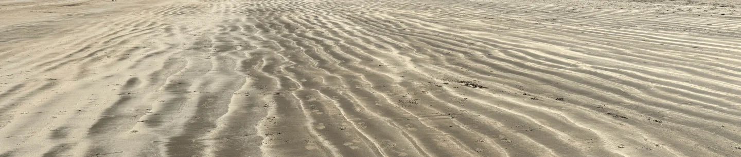 Seashore