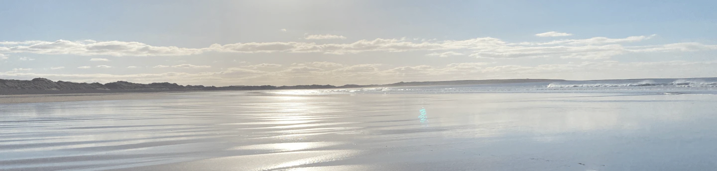 Golden Shore