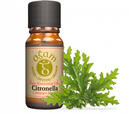 Citronella | Essential oils