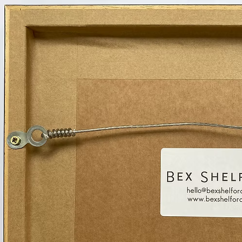 Bex Shelford Robin - Spideog | Framed Print