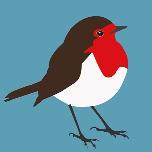Bex Shelford Robin - Spideog | Framed Print