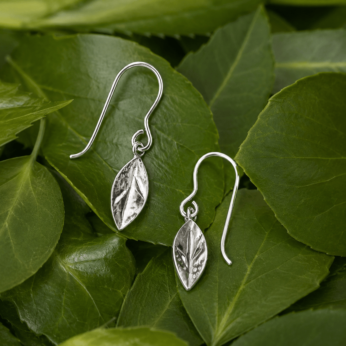 Martina Hamilton Earrings Leaf | Silver Drop Earrings Petite