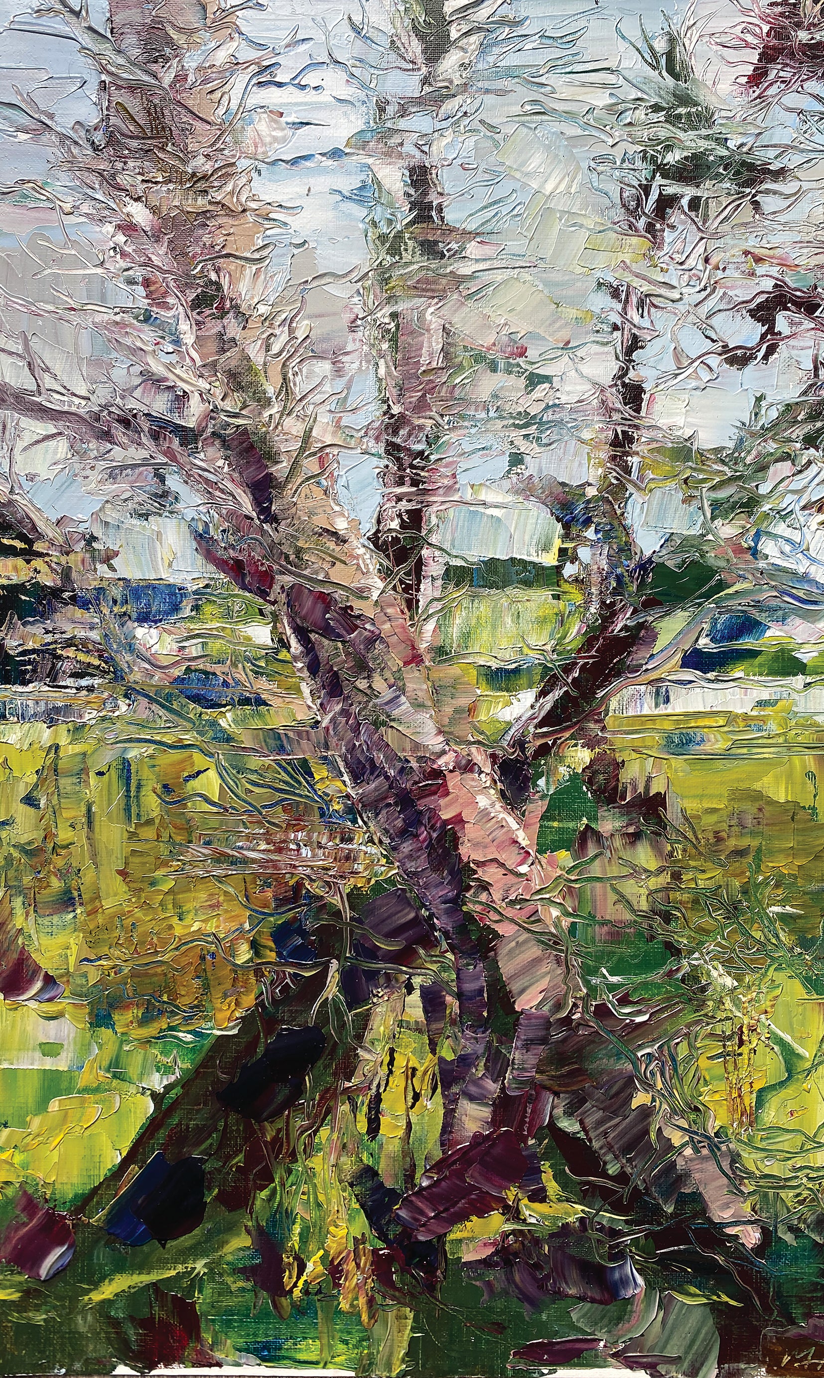 Martina Hamilton Prints Forest Edge I | Framed Art Print