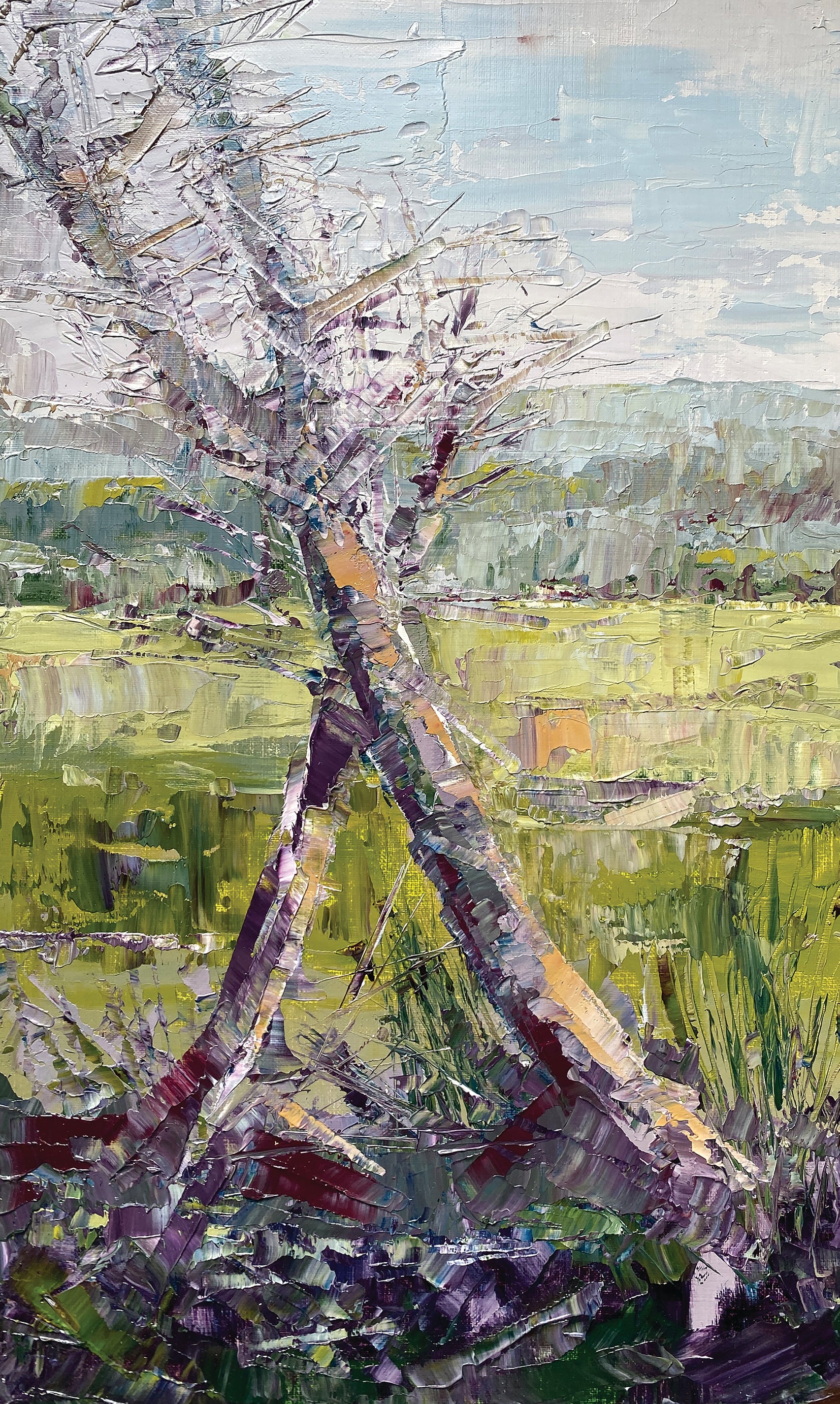 Martina Hamilton Prints Forest Edge III | Framed Art Print