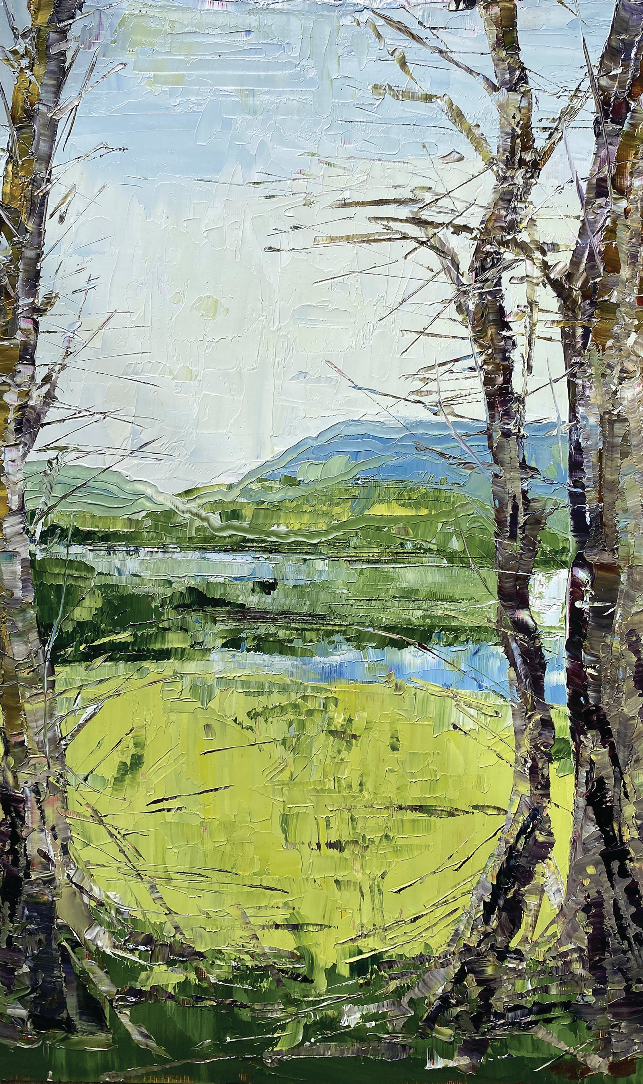 Martina Hamilton Prints Of the Goose Field | Framed Art Print